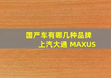 国产车有哪几种品牌上汽大通 MAXUS